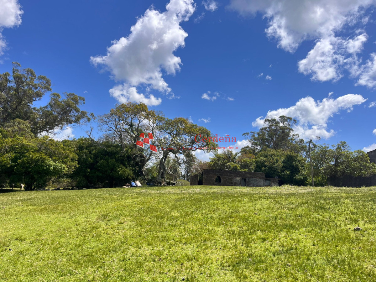 Campo Ref.1922 - VENTA - 124 HAS CASTILLOS