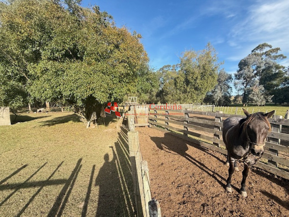 Campo Ref.1998 - VENTA - Campo 358 hectáreas en Garzón, Rocha
