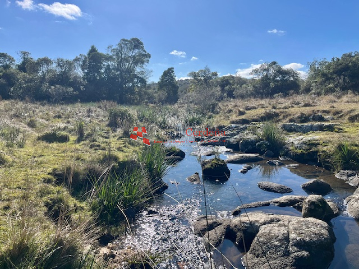Campo Ref.1887 - VENTA - Campo 79 hectareas ruta 109