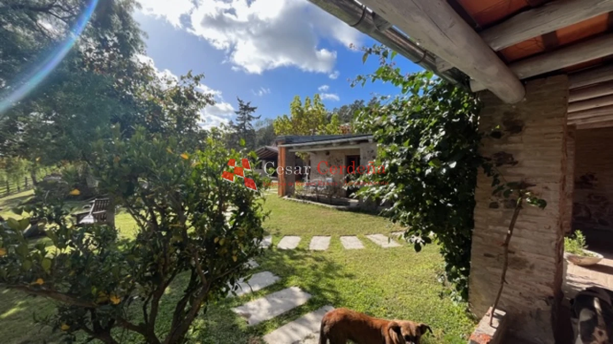 Campo Ref.1780 - VENTA - Campo de 83 hectáreas en Maldonado