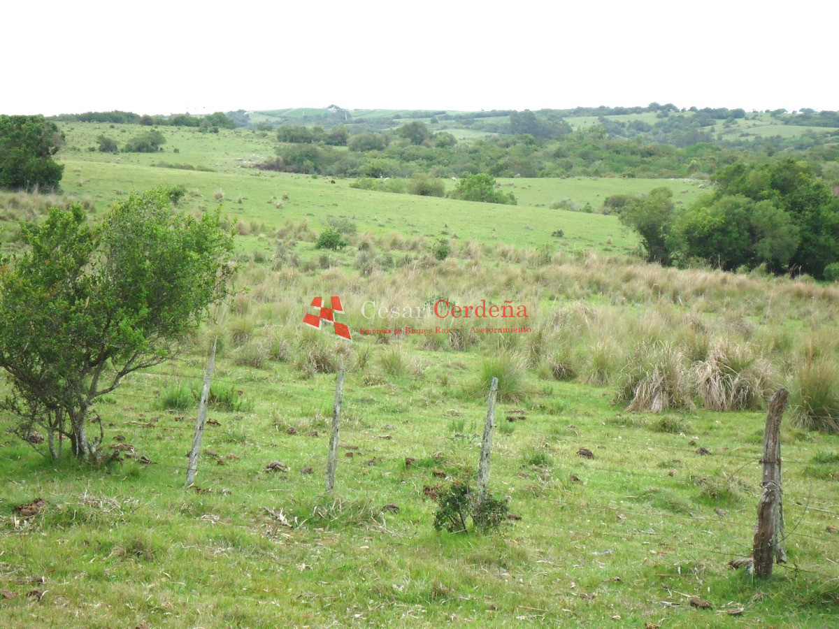 Campo Ref.1947 - VENTA - Campo 316 hectareas en Garzon, Rocha