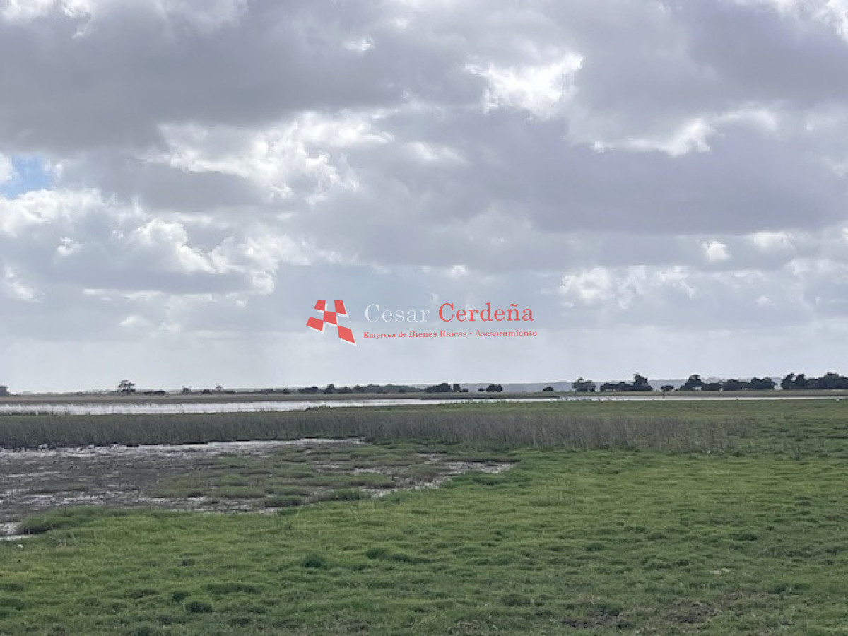 Campo Ref.1951 - VENTA - Campo 754 hectáreas - Rocha