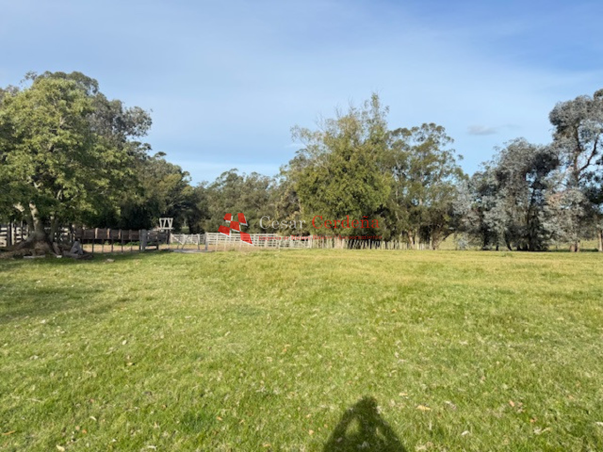 Campo Ref.1998 - VENTA - Campo 358 hectáreas en Garzón, Rocha