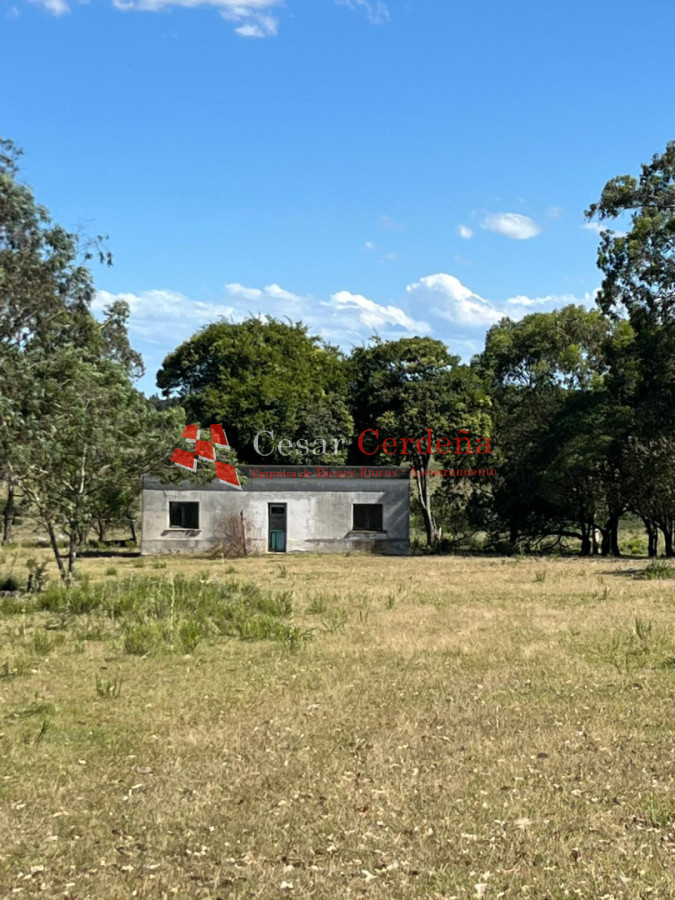 Campo Ref.1847 - VENTA - 112 has Rocha Castillos