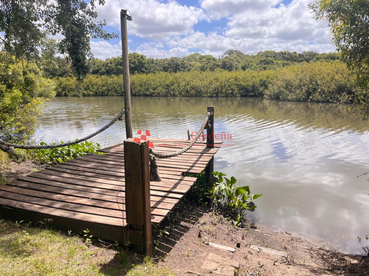 Campo Ref.1850 - VENTA - 745 HECTAREAS ROCHA