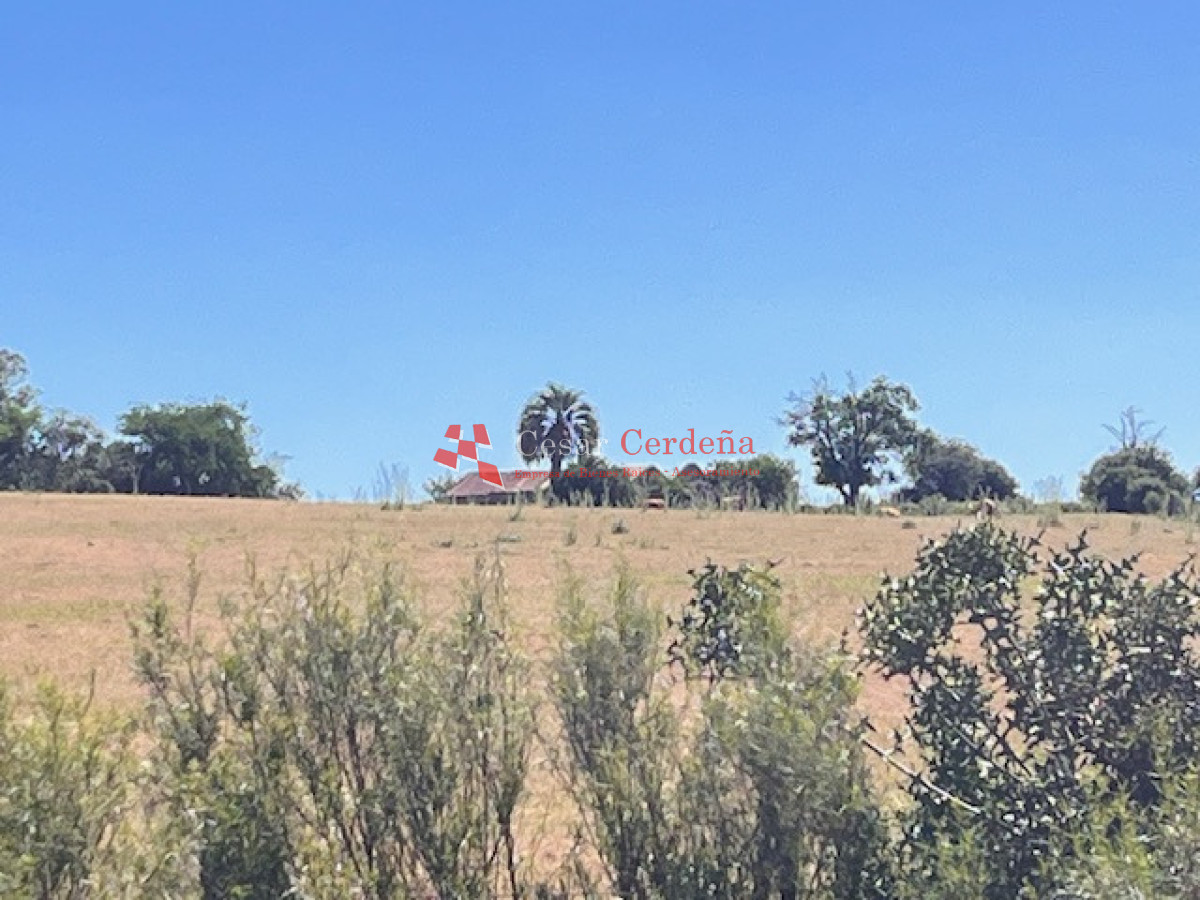 Campo Ref.1958 - VENTA - Campo 82 hectáreas