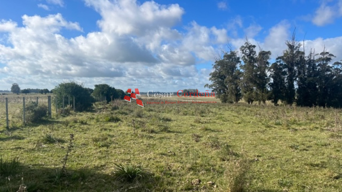 Campo Ref.1937 - VENTA - Campo de 83 hectáreas en Maldonado