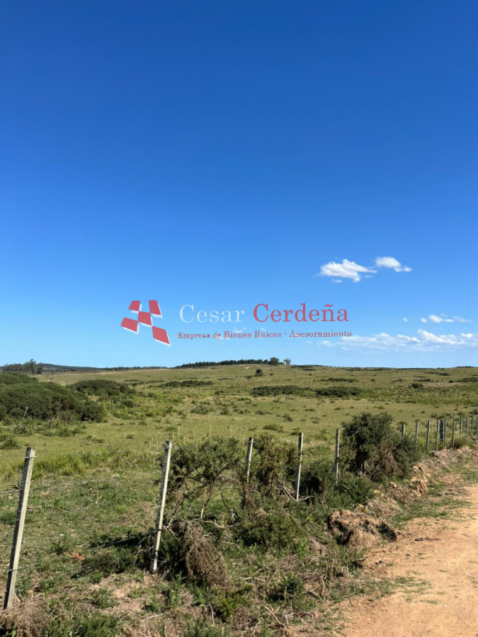 Campo Ref.1847 - VENTA - 112 has Rocha Castillos