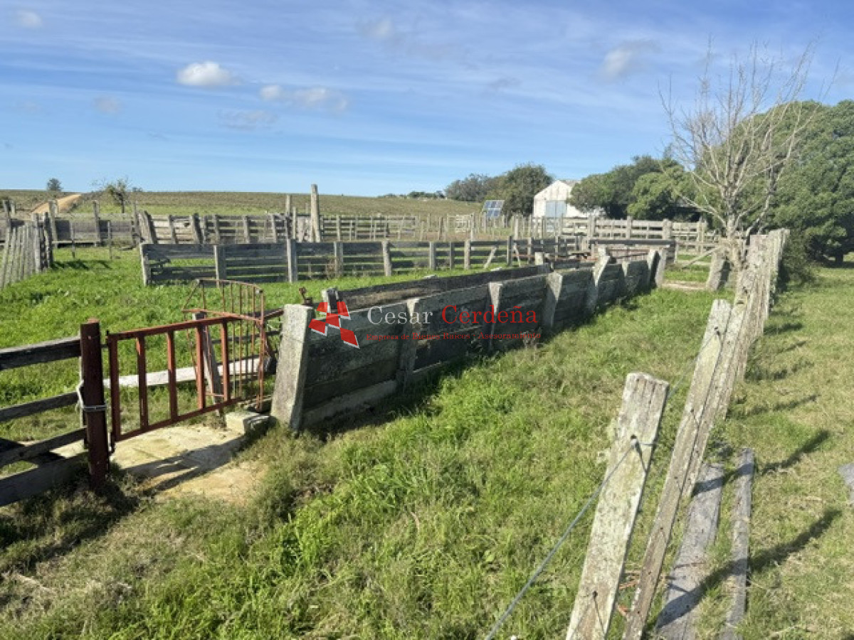 Campo Ref.1936 - VENTA - Campo 240 hectáreas en 19 de Abril - Rocha