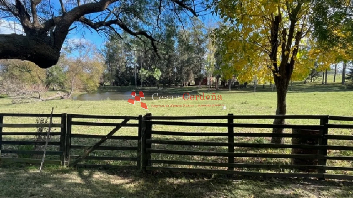 Campo Ref.1780 - VENTA - Campo de 83 hectáreas en Maldonado