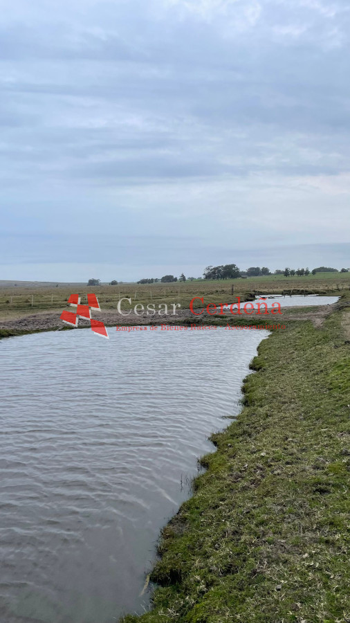 Campo Ref.1899 - VENTA - Campo 208 hectareas en La Coronilla