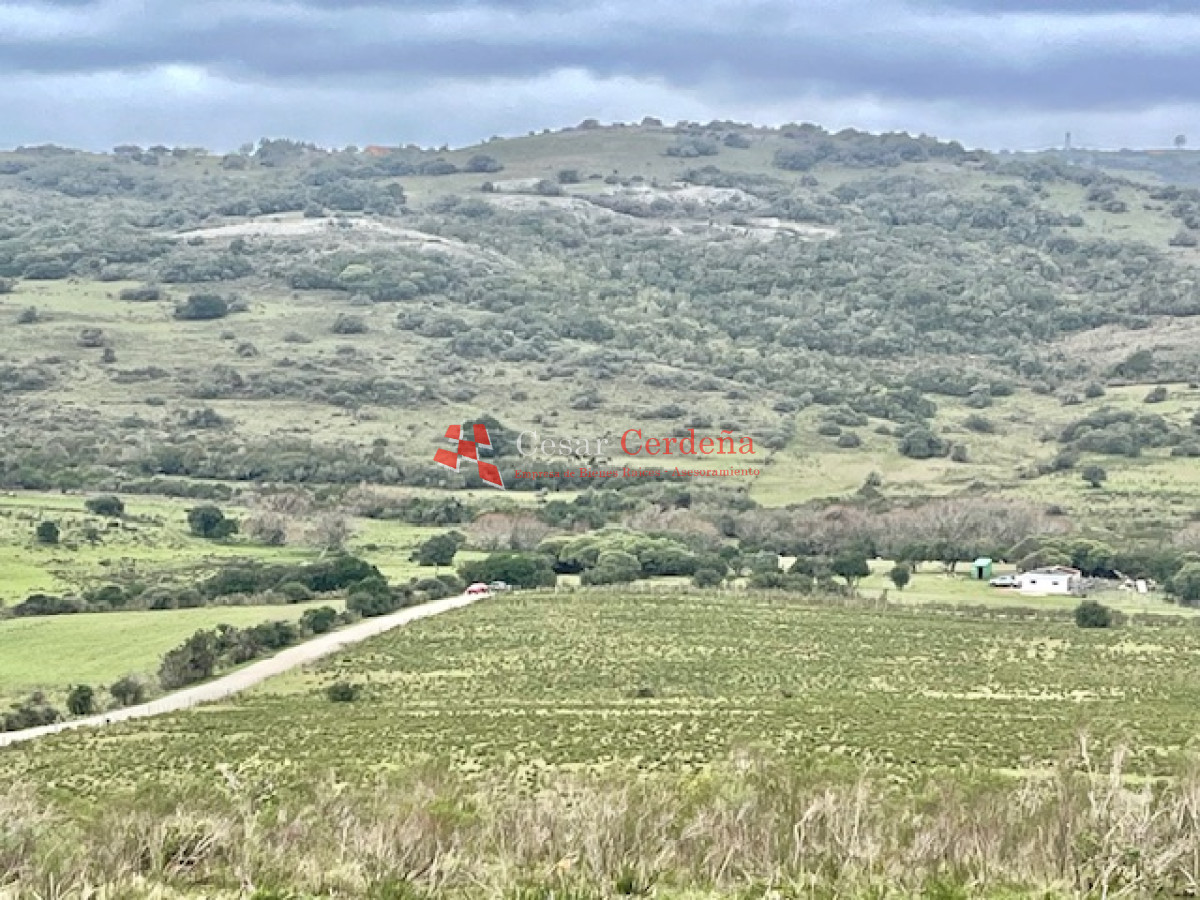 Campo Ref.1900 - VENTA - Campito de 86 hectáreas en las Sierras