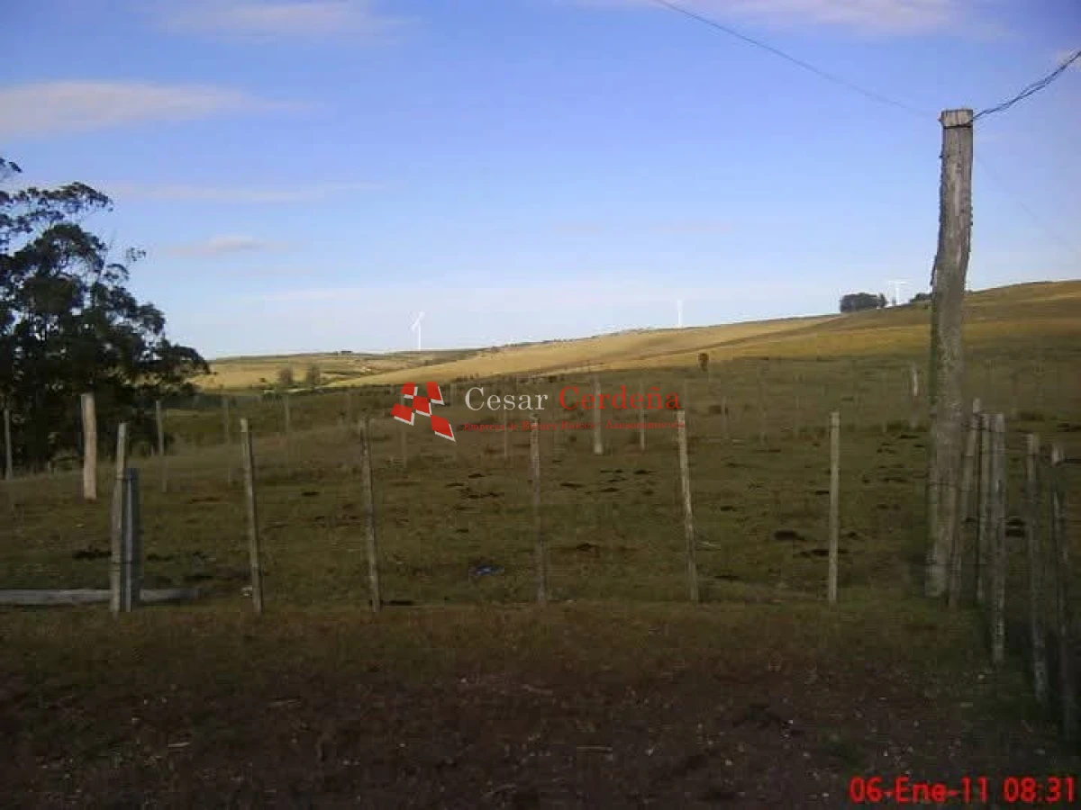 Campo Ref.1936 - VENTA - Campo 240 hectáreas en 19 de Abril - Rocha