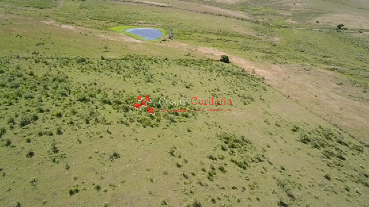 Campo Ref.1958 - VENTA - Campo 82 hectáreas