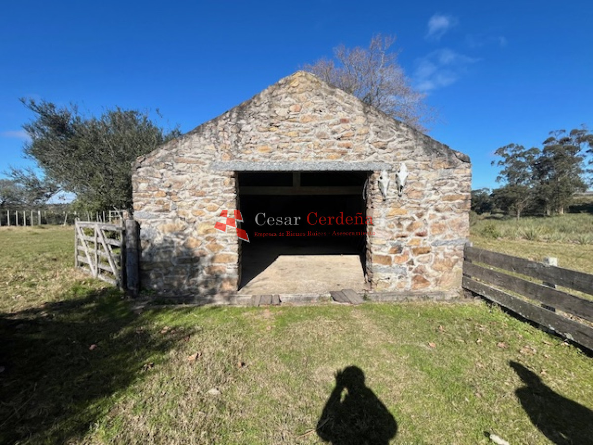 Campo Ref.1887 - VENTA - Campo 79 hectareas ruta 109