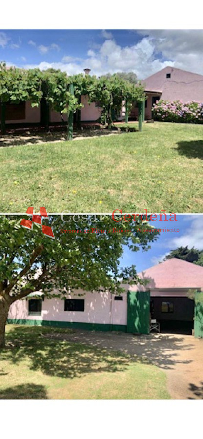 Campo Ref.1850 - VENTA - 735 HECTAREAS ROCHA