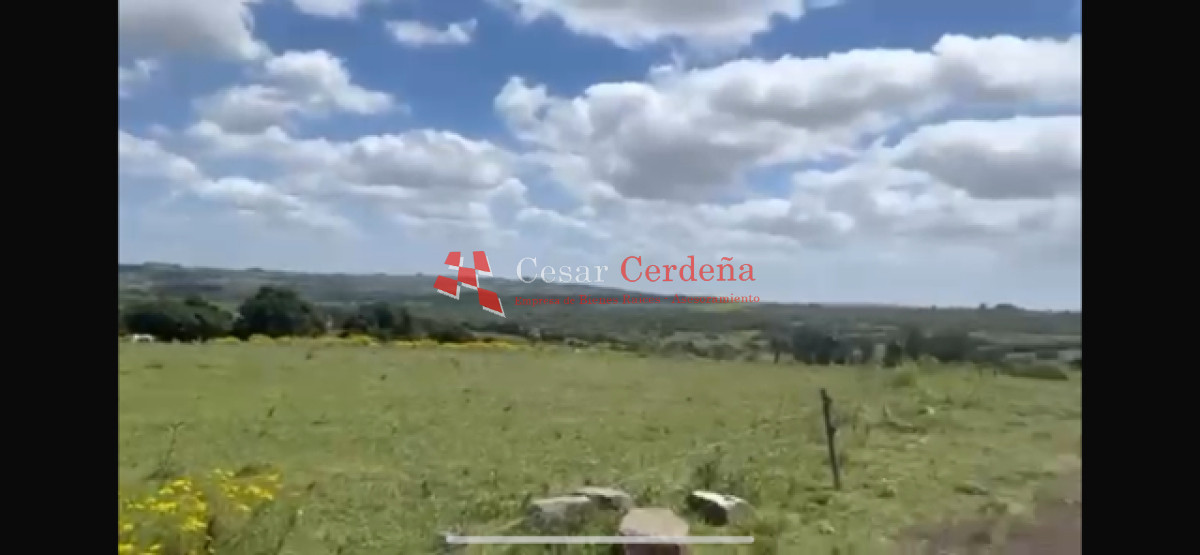 Campo Ref.1922 - VENTA - 124 HAS CASTILLOS
