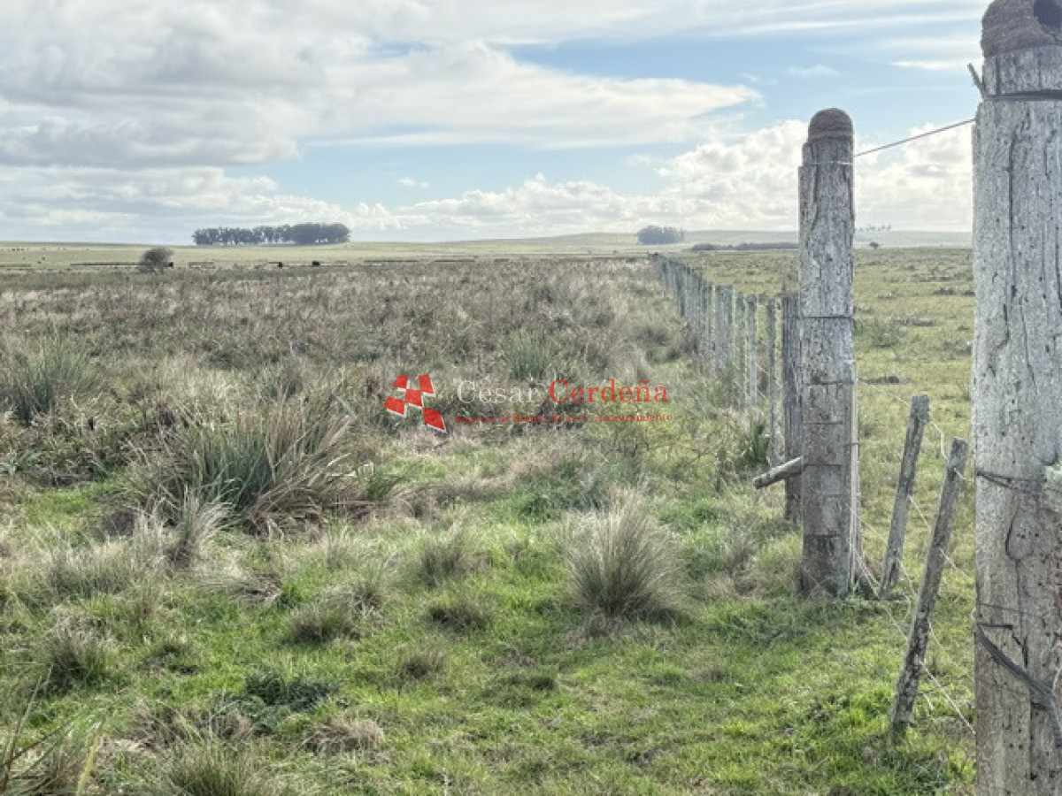 Campo Ref.2007 - VENTA - Campo 655 hectáreas cercano a Velazquez