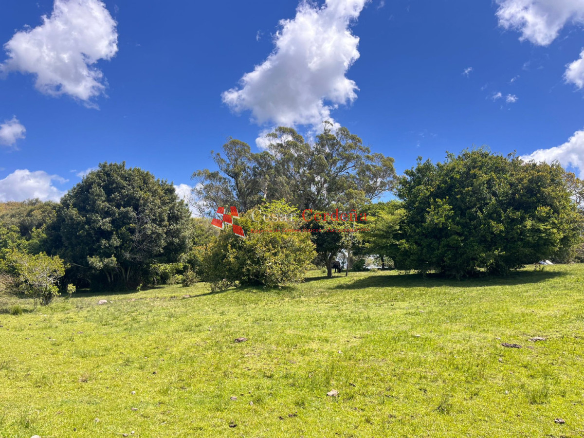 Campo Ref.1922 - VENTA - 124 HAS CASTILLOS