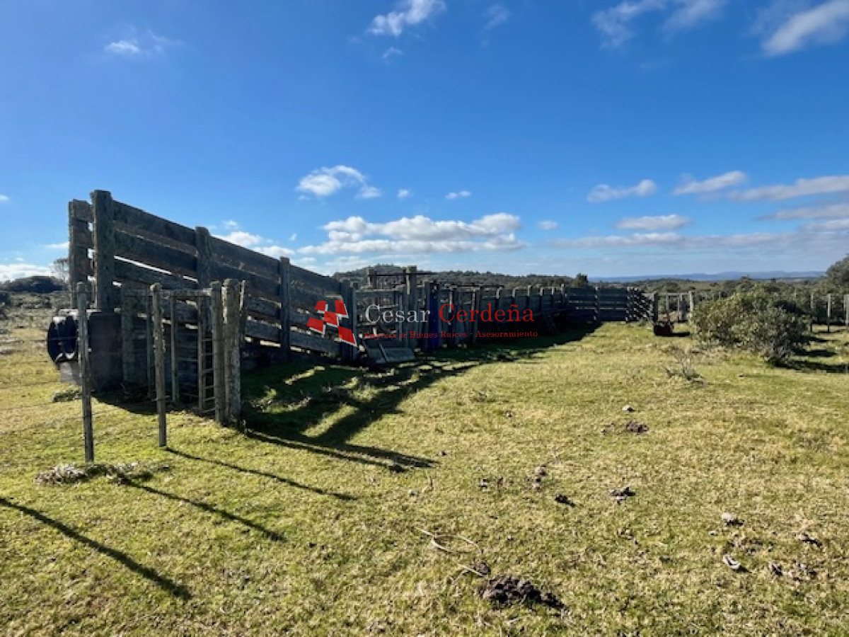 Campo Ref.1887 - VENTA - Campo 79 hectareas ruta 109