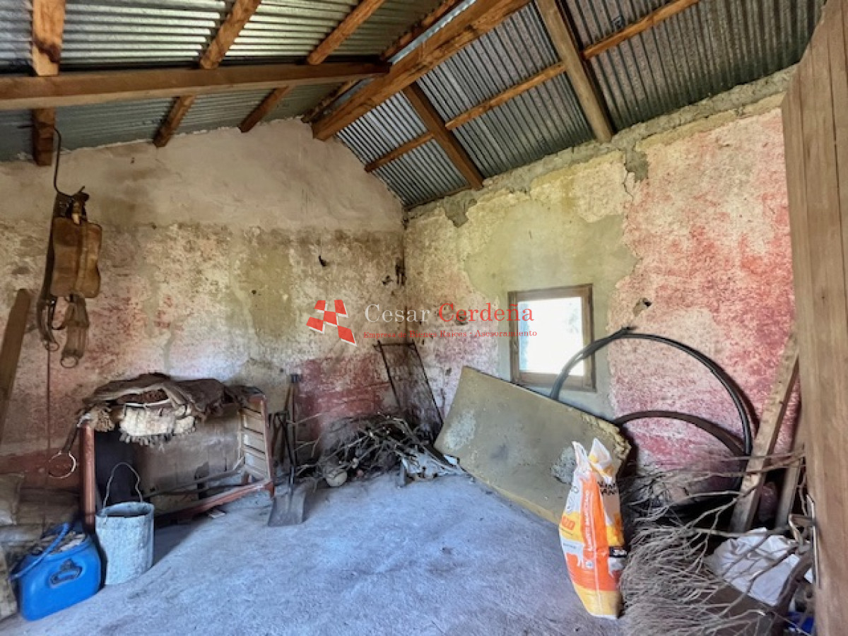 Campo Ref.1887 - VENTA - Campo 79 hectareas ruta 109