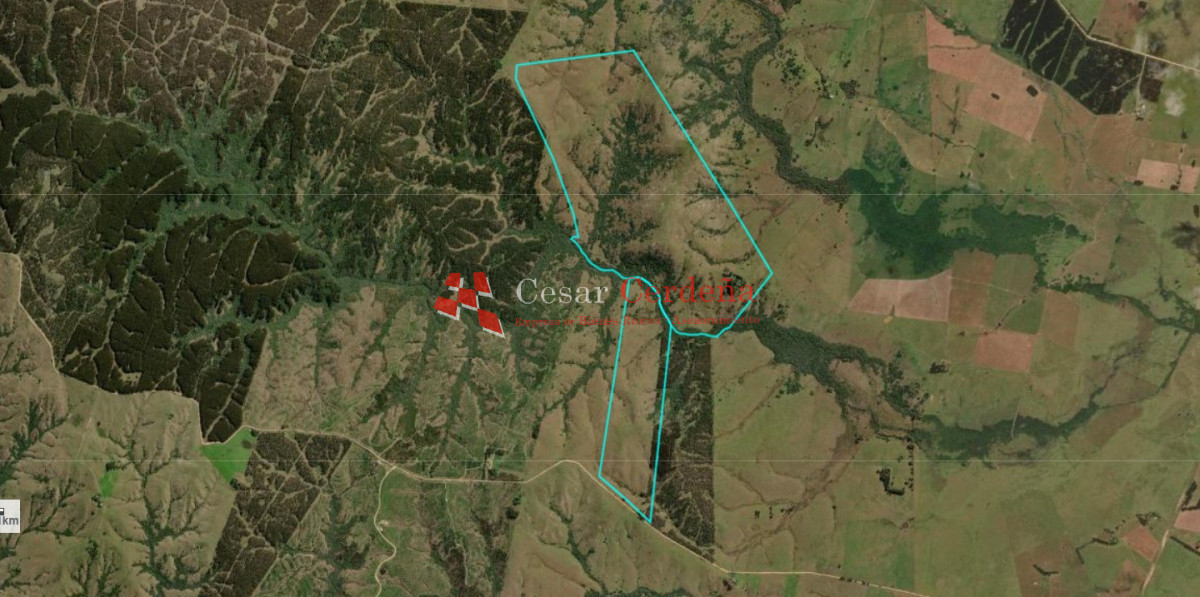 Campo Ref.1956 - VENTA - Campo 295 hectáreas en 19 de Abril - Rocha