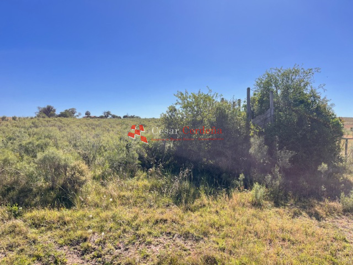 Campo Ref.1958 - VENTA - Campo 82 hectáreas