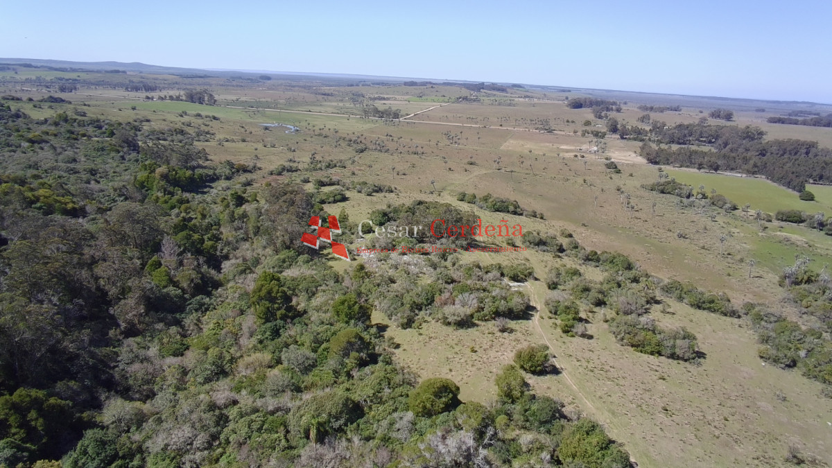 Campo Ref.1968 - VENTA - Campo 106 hectareas - Castillos