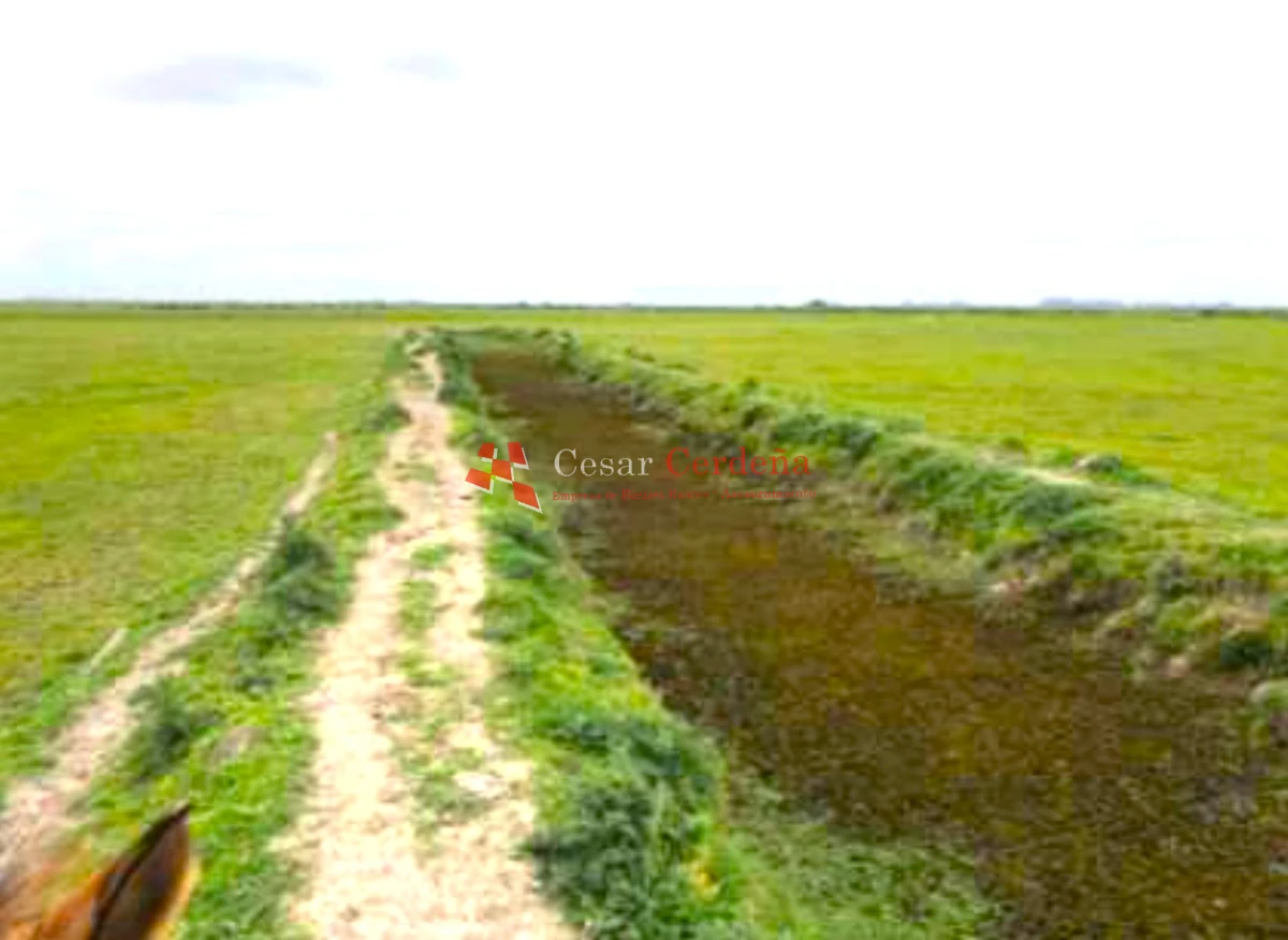 Campo Ref.1909 - VENTA -Campo en Rocha 690 hectáreas 