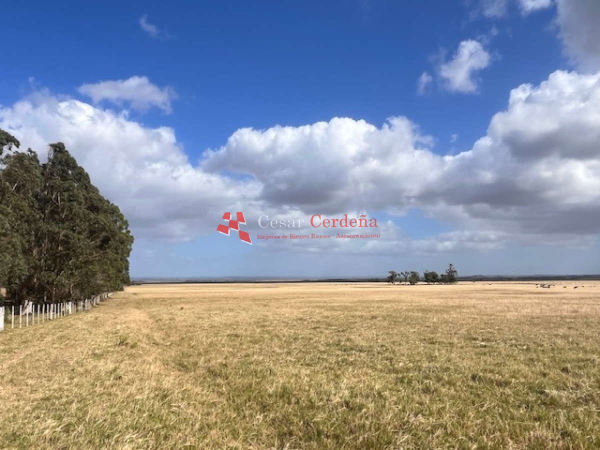 Campo Ref.1951 - VENTA - Campo 754 hectáreas - Rocha