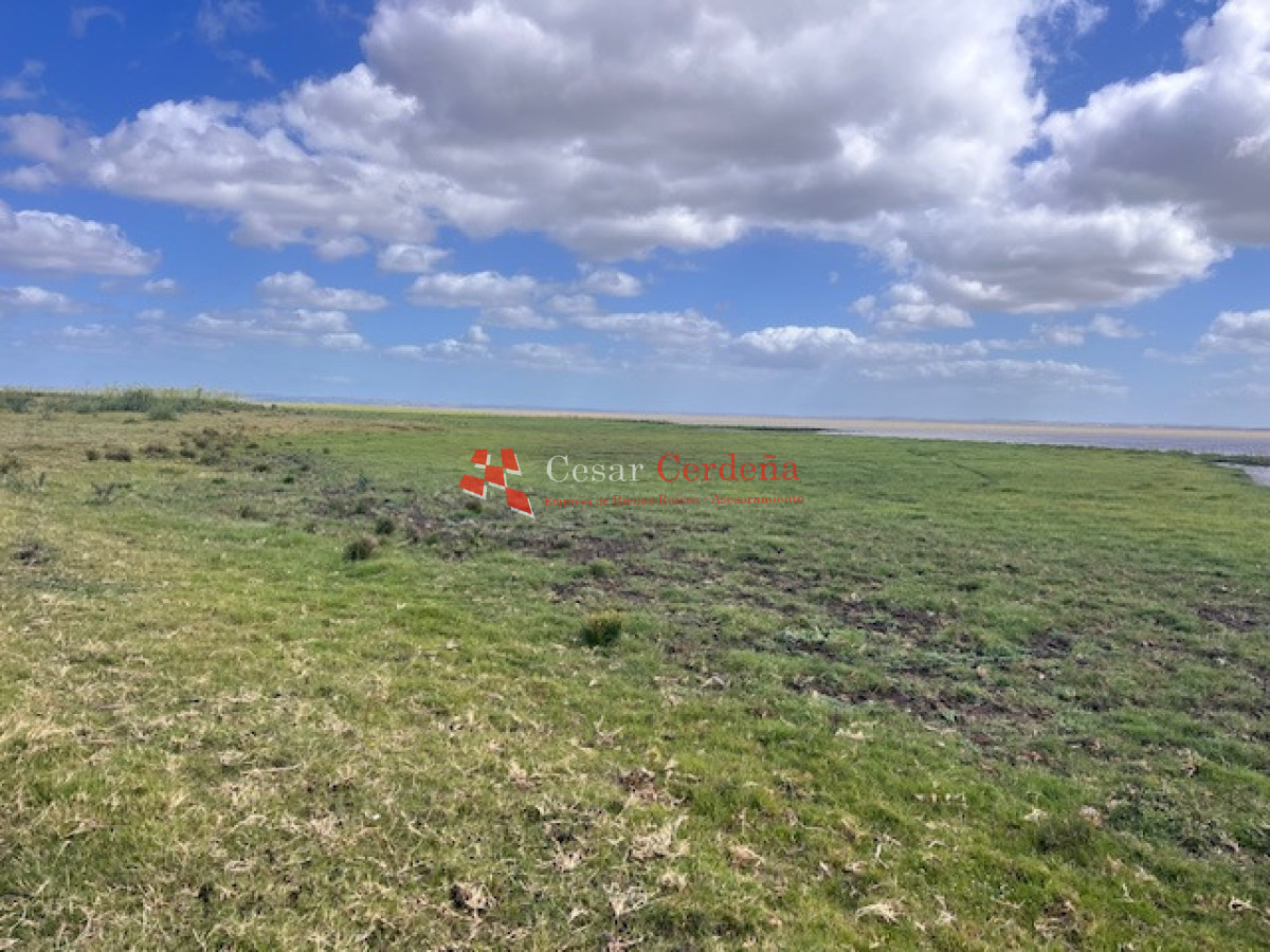 Campo Ref.1951 - VENTA - Campo 754 hectáreas - Rocha