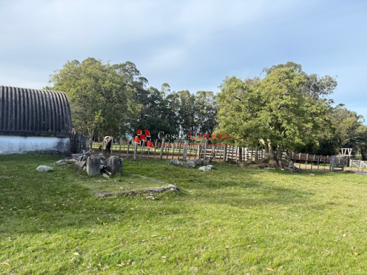 Campo Ref.1998 - VENTA - Campo 358 hectáreas en Garzón, Rocha