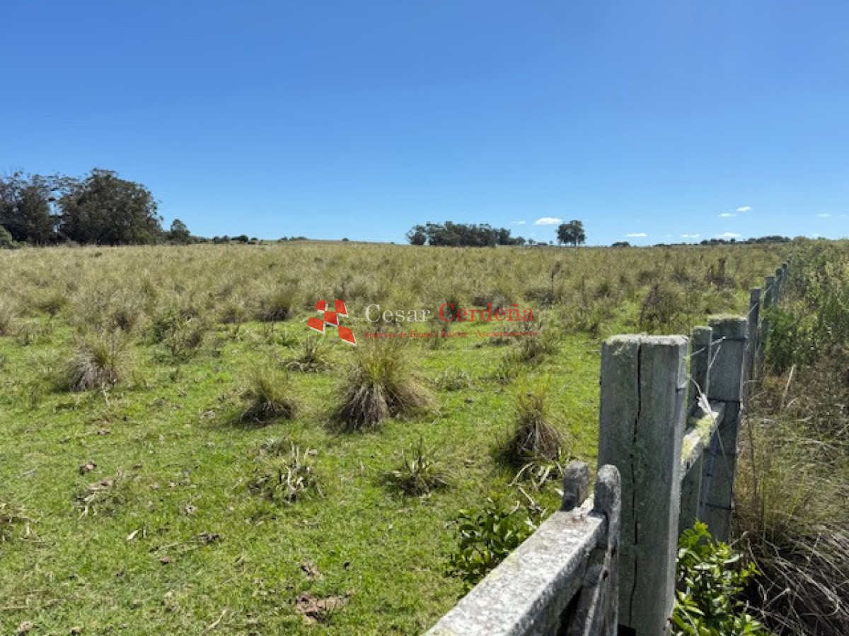 Campo Ref.1947 - VENTA - Campo 316 hectareas en Garzon, Rocha