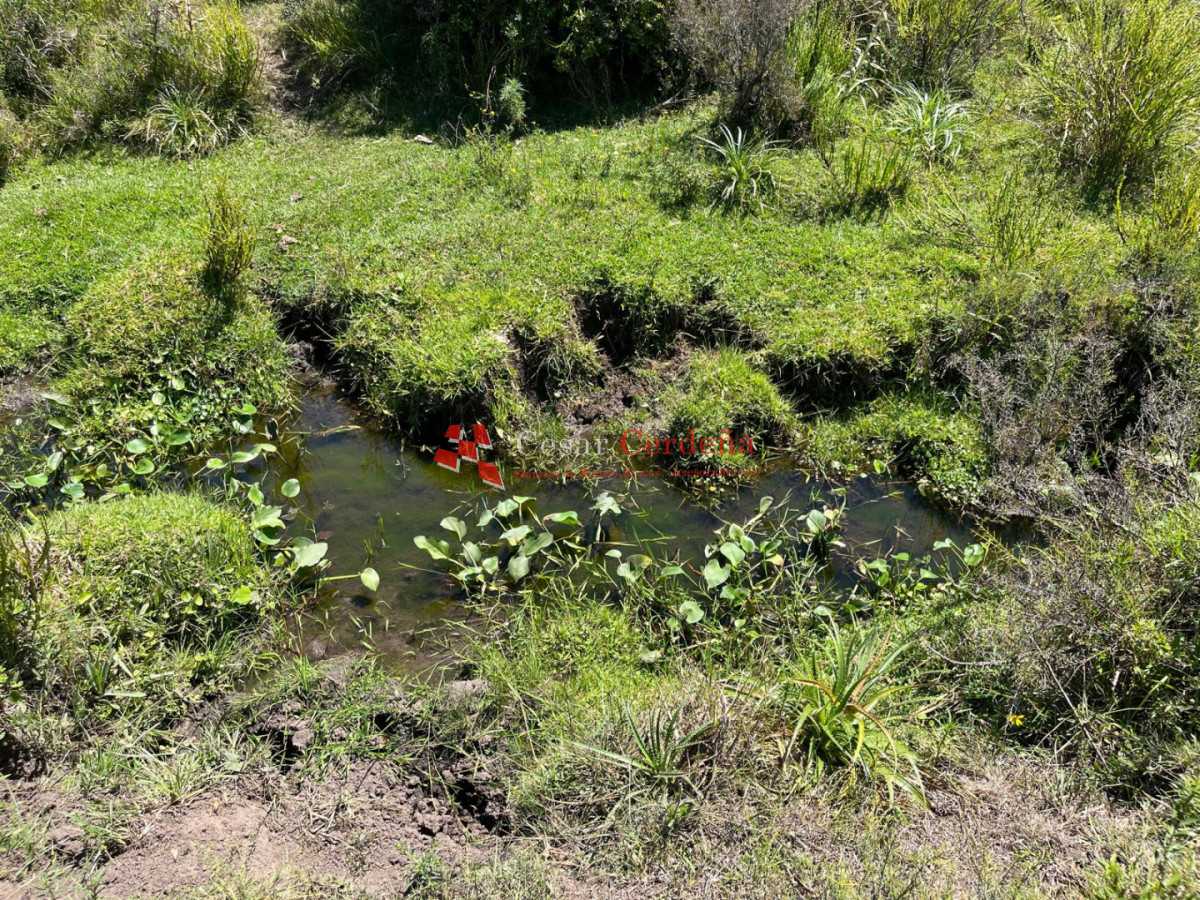 Campo Ref.1970 - VENTA - Campo 49 hectareas Pan de Azucar