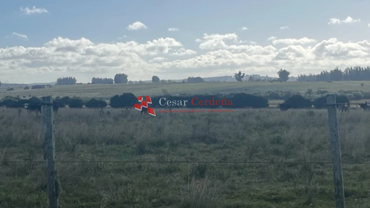 Campo Ref.1780 - VENTA - Campo de 83 hectáreas en Maldonado