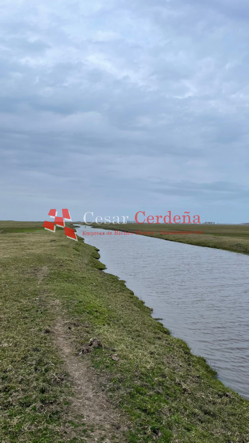Campo Ref.1899 - VENTA - Campo 208 hectareas en La Coronilla