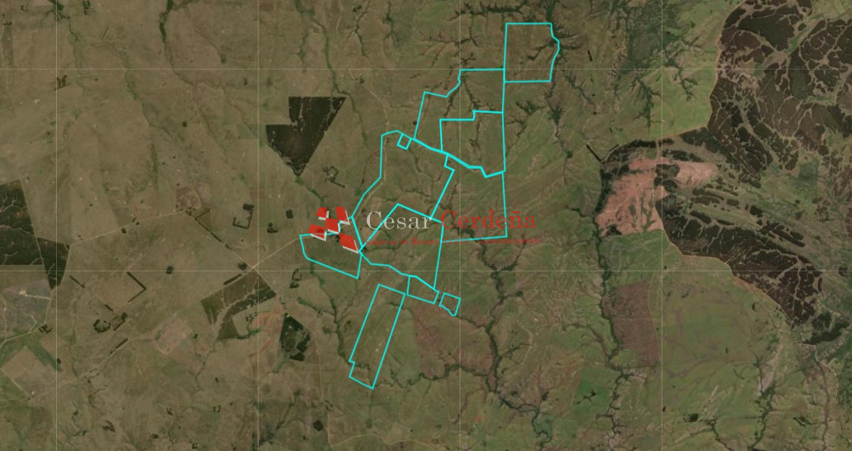 Campo Ref.1908 - VENTA - Campo 1228 hectareas - Treinta y Tres