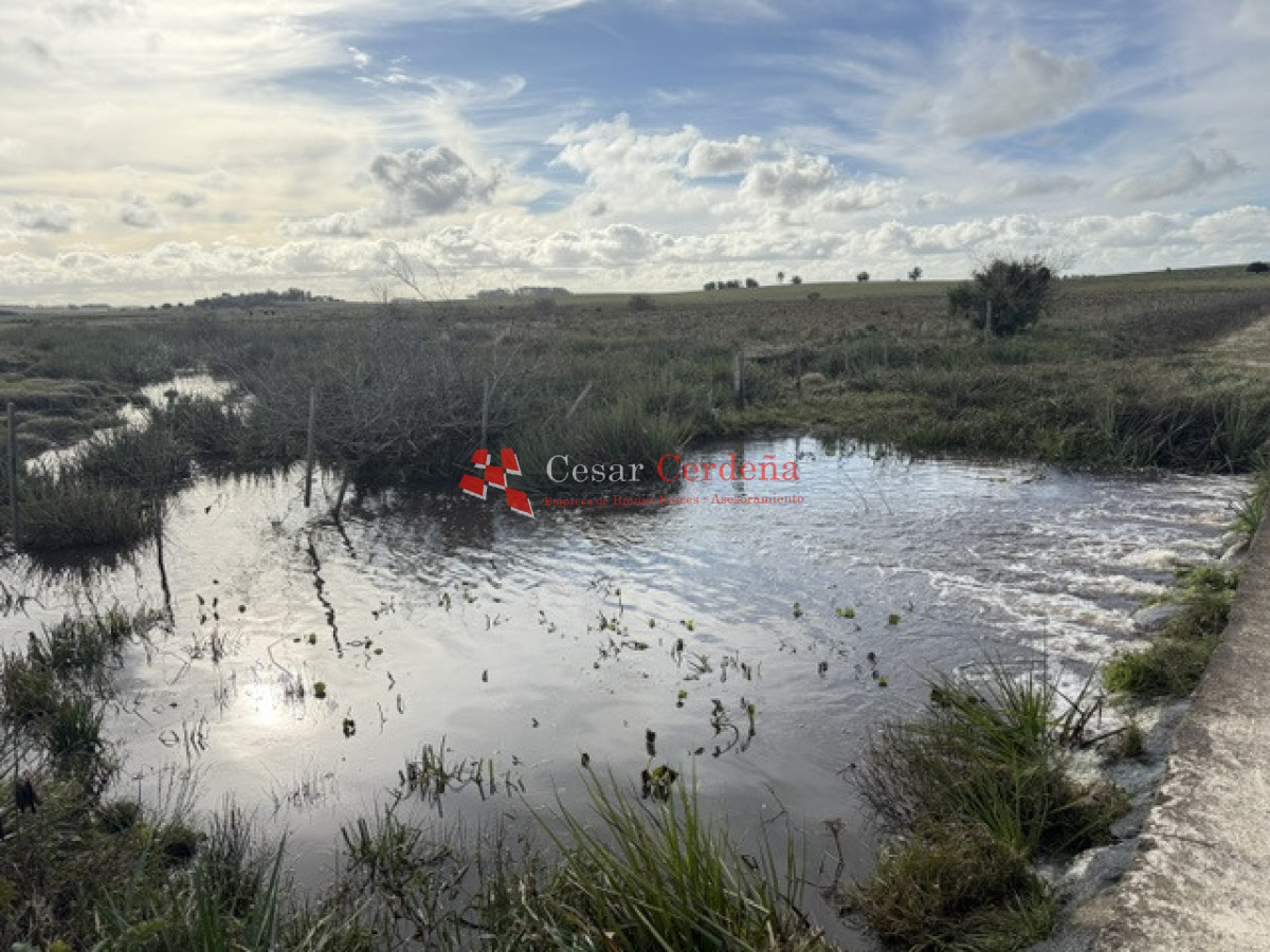 Campo Ref.2007 - VENTA - Campo 655 hectáreas cercano a Velazquez