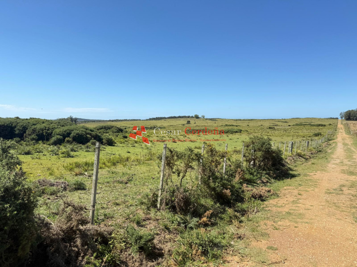 Campo Ref.1990 - VENTA - Campo 112 hectareas en La Carbonera, Rocha
