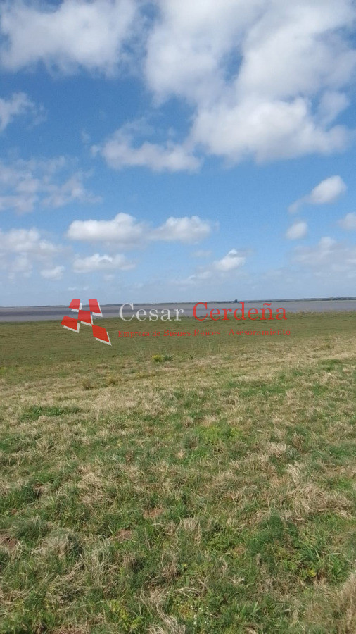 Campo Ref.1951 - VENTA - Campo 744 hectareas - Rocha