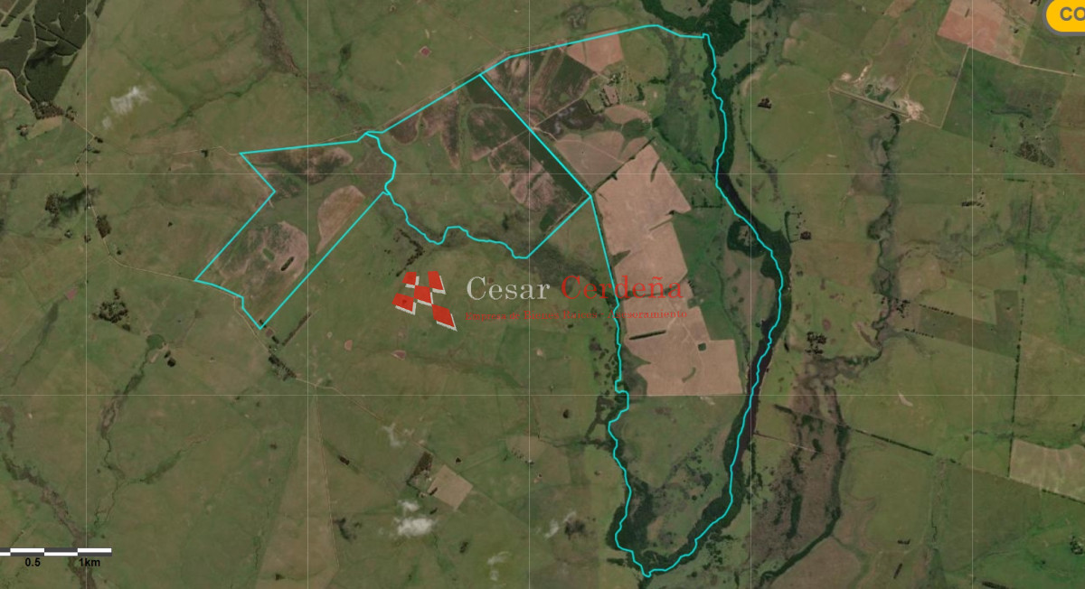Campo Ref.1661 - VENTA - Campo 890 has Agricolas - Ganaderas en Cerro Largo