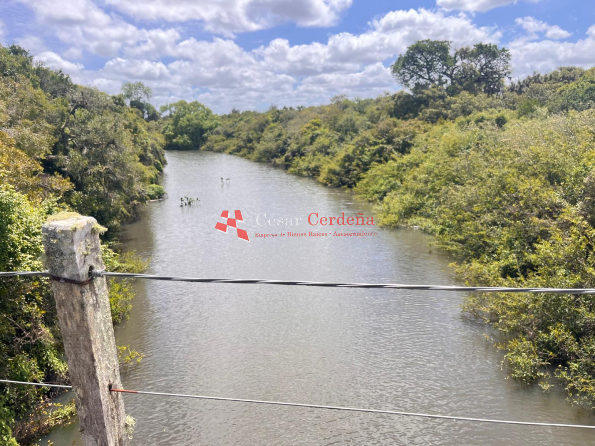 Campo Ref.1850 - VENTA - 745 HECTAREAS ROCHA