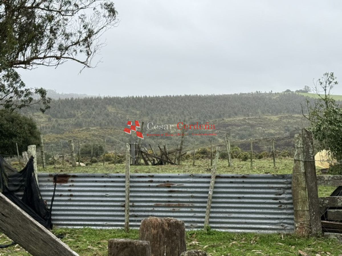 Campo Ref.1964 - VENTA - Campito 59 hectáreas - Castillos, Rocha