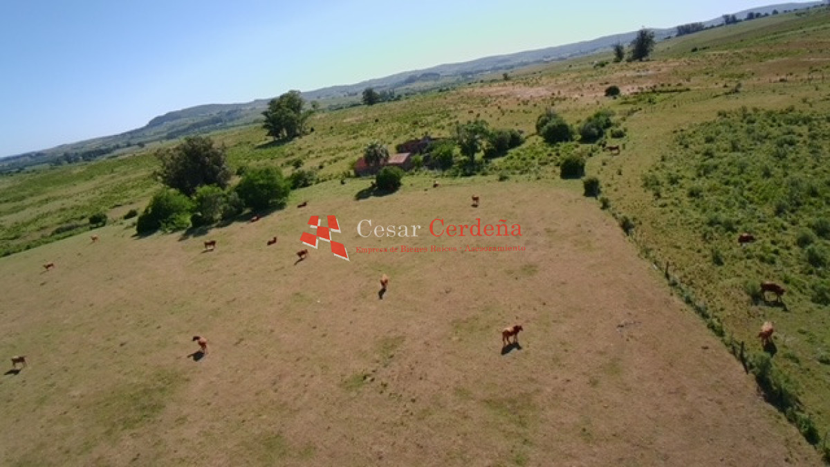 Campo Ref.1958 - VENTA - Campo 82 hectáreas