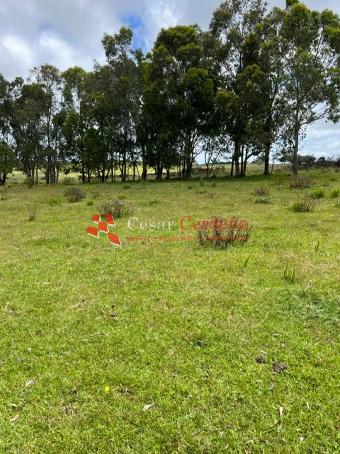 Campo Ref.1852 - VENTA - Campo de 112 hectareas Rocha