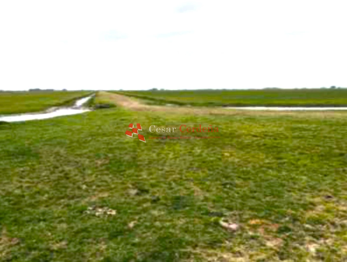 Campo Ref.1909 - VENTA -Campo en Rocha 690 hectáreas 