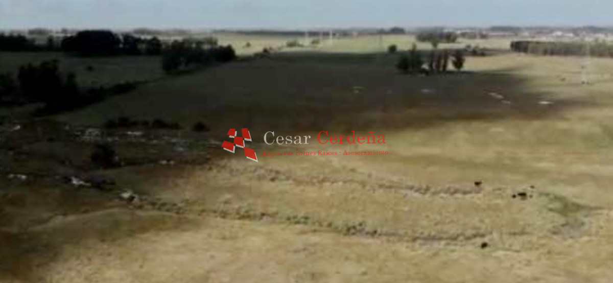 Campo Ref.1895 - VENTA - 73 has en Rocha