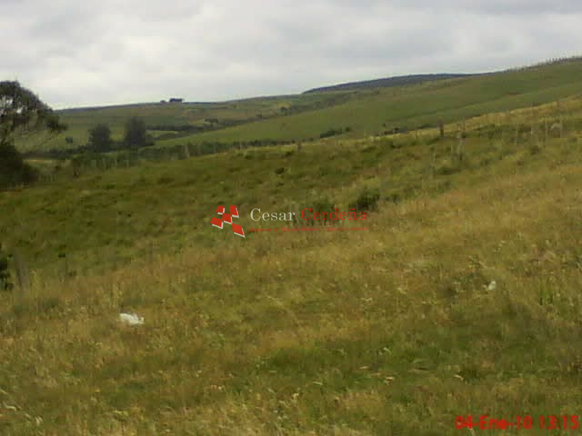 Campo Ref.1936 - VENTA - Campo 240 hectáreas en 19 de Abril - Rocha