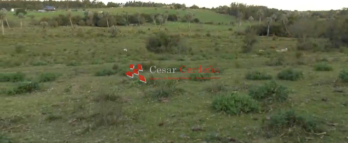 Campo Ref.1968 - VENTA - Campo 106 hectareas - Castillos