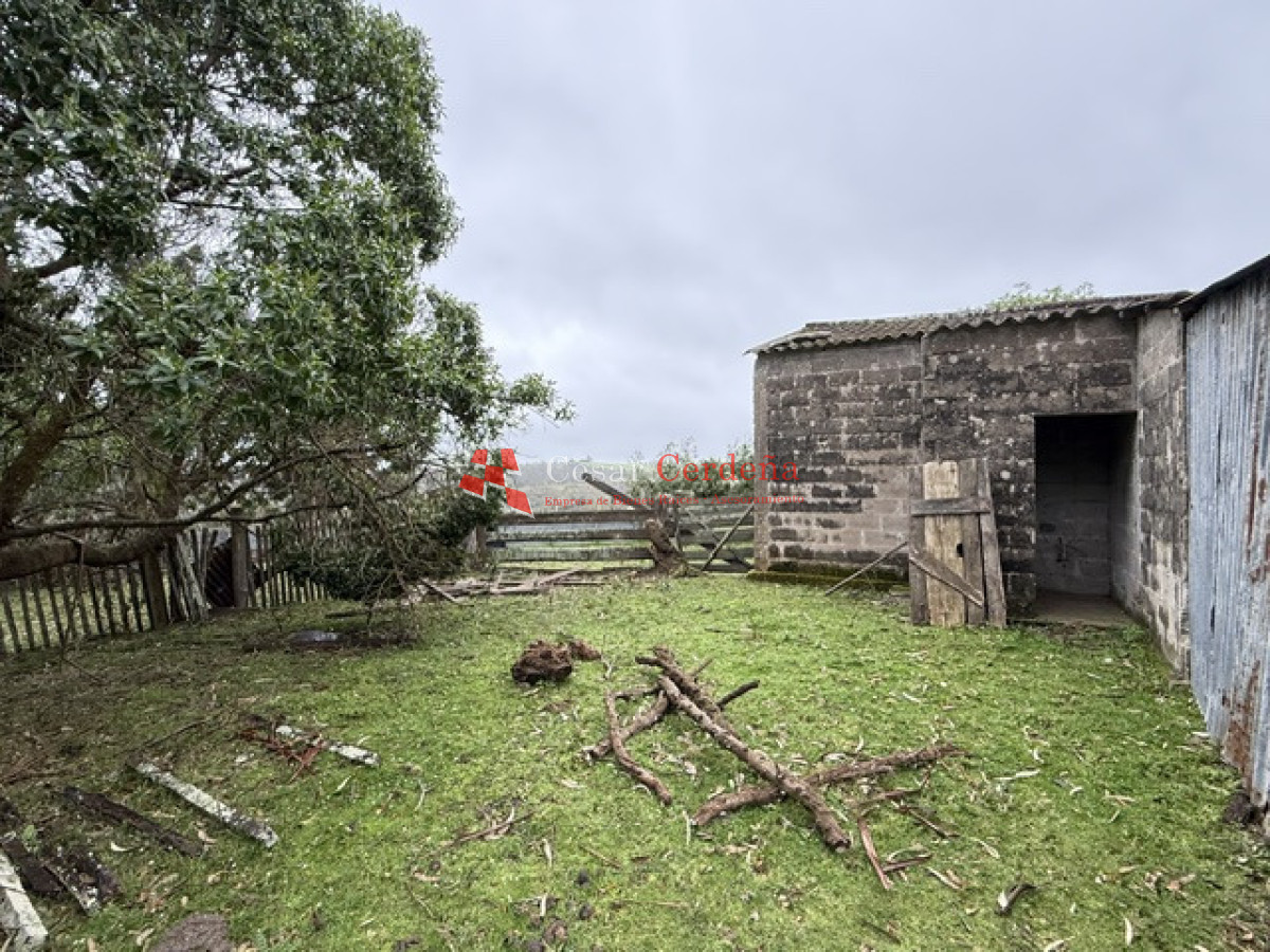 Campo Ref.1964 - VENTA - Campito 59 hectáreas - Castillos, Rocha